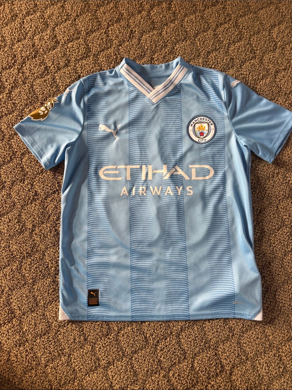 Puma Manchester City Light Blue Soccer Jersey with White Logos